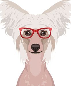 Chinese Crested Wearing Hipster Glasses