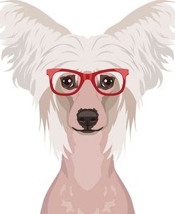 Chinese Crested Wearing Hipster Glasses