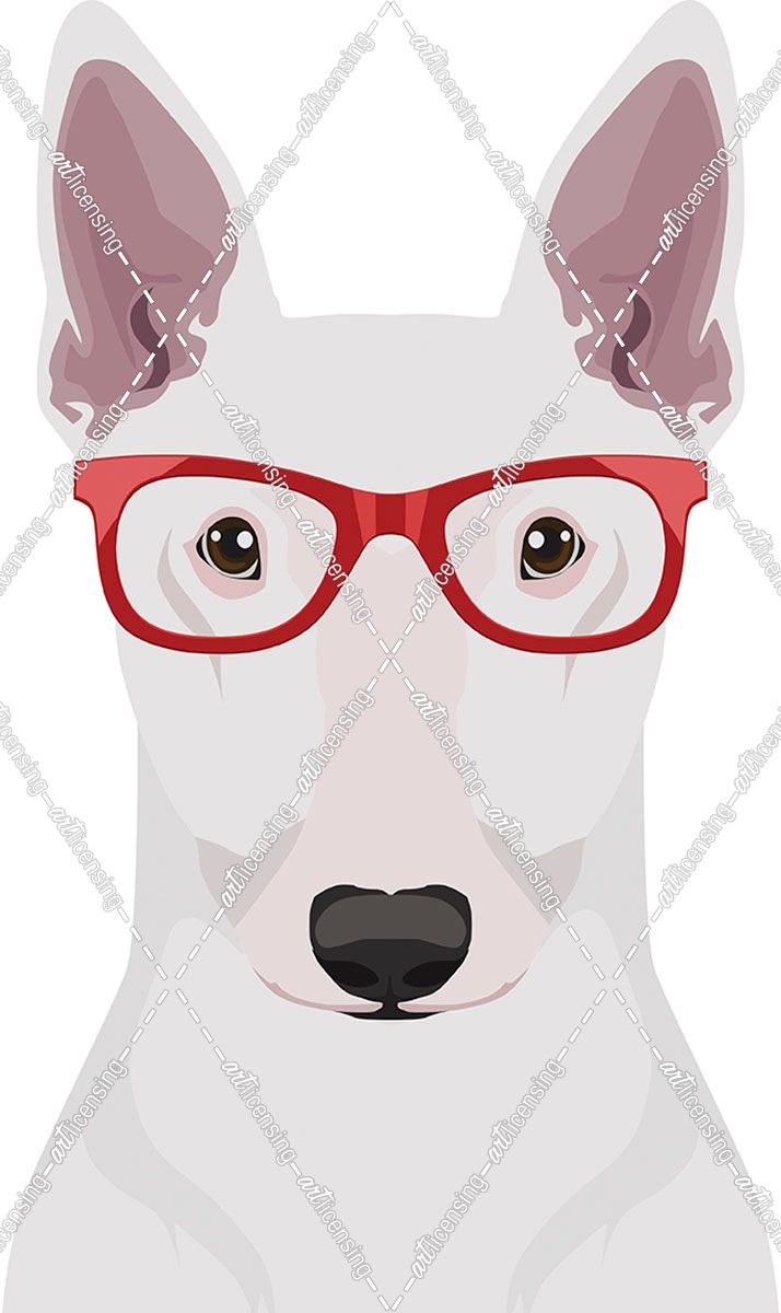Bull Terrier Wearing Hipster Glasses
