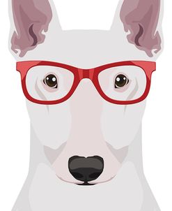 Bull Terrier Wearing Hipster Glasses