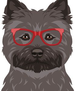 Cairn Terrier Wearing Hipster Glasses 2