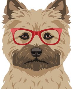 Cairn Terrier Wearing Hipster Glasses