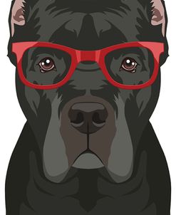 Cane Corso Wearing Hipster Glasses