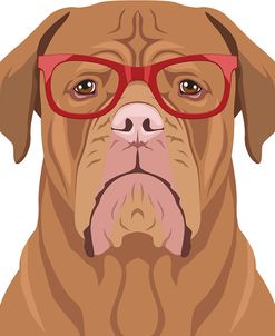 Dogue De Bordeaux Wearing Hipster Glasses