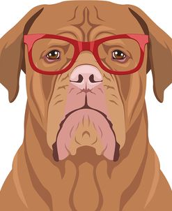 Dogue De Bordeaux Wearing Hipster Glasses