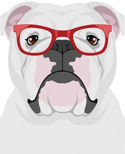 English Bulldog Wearing Hipster Glasses