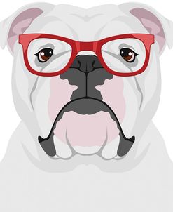 English Bulldog Wearing Hipster Glasses