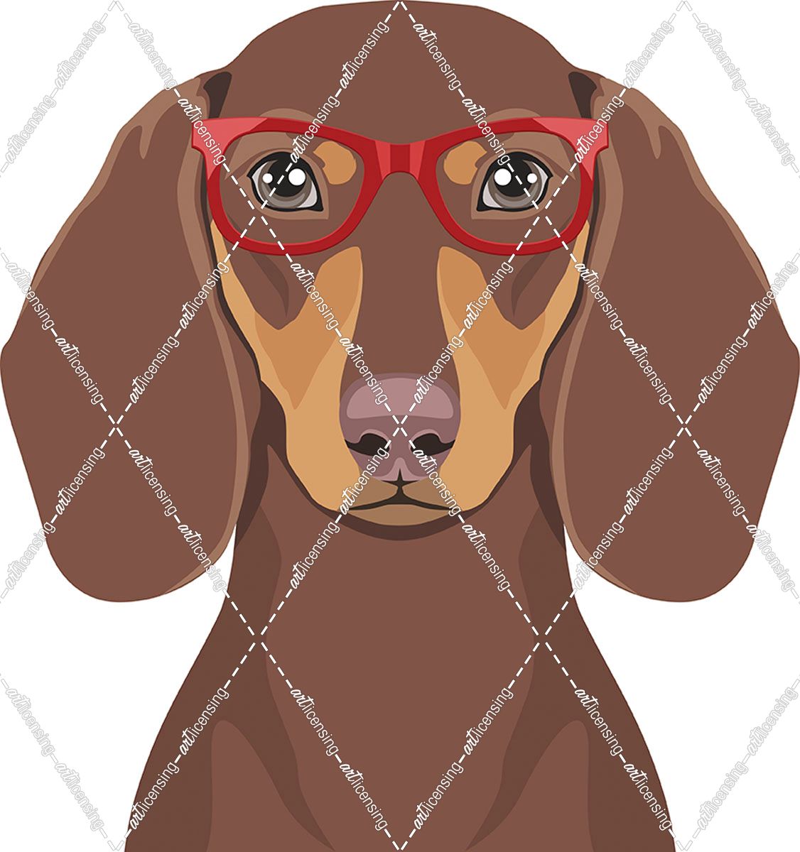 Dachshund Wearing Hipster Glasses 2