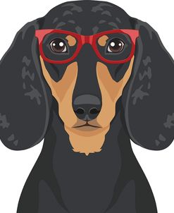 Dachshund Wearing Hipster Glasses 3