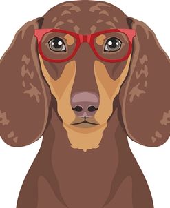 Dachshund Wearing Hipster Glasses 4