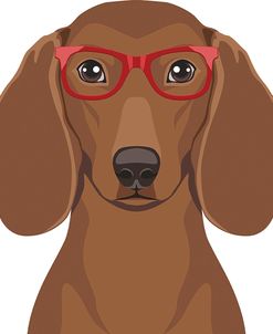 Dachshund Wearing Hipster Glasses