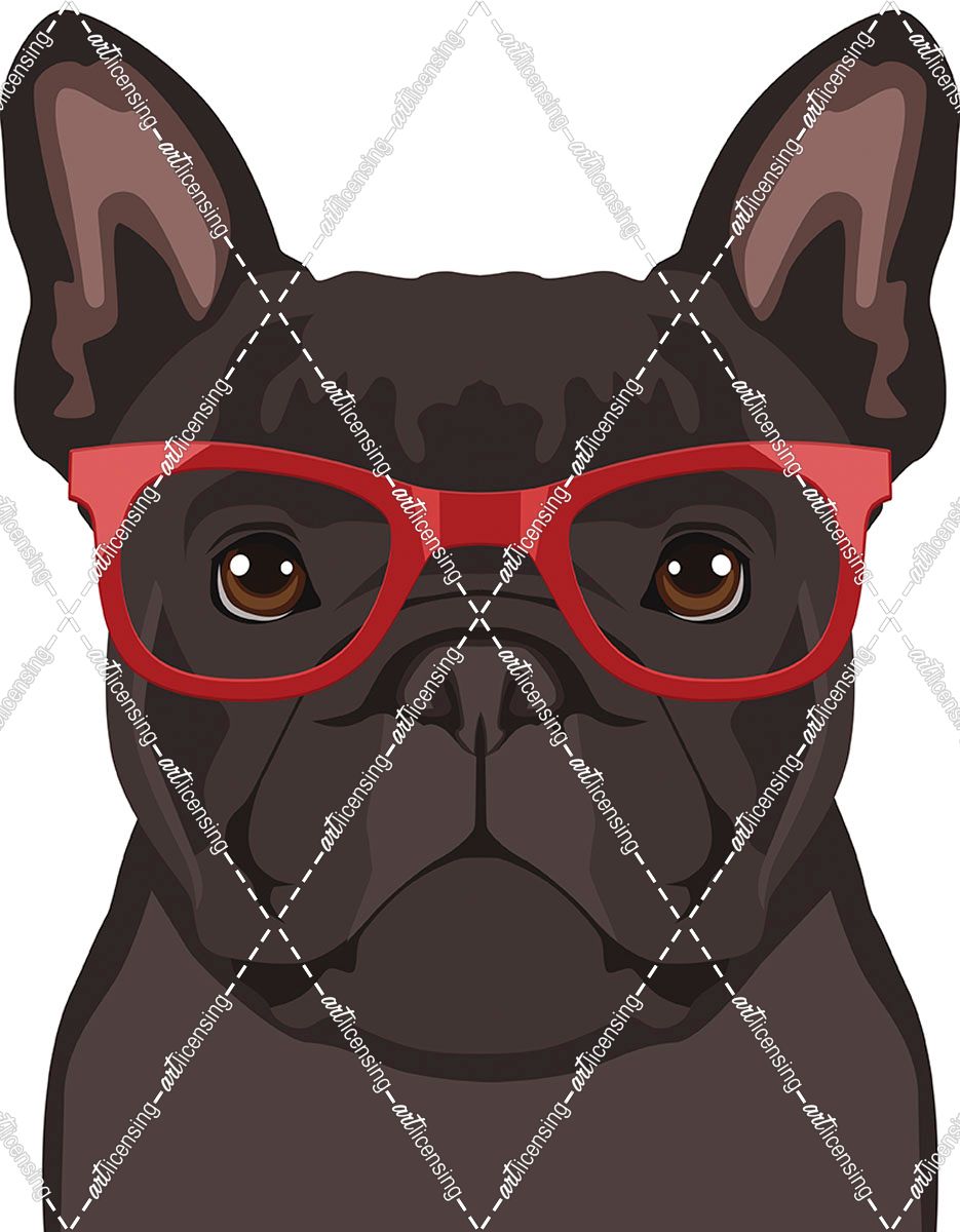 French Bulldog Wearing Hipster Glasses 2