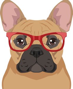 French Bulldog Wearing Hipster Glasses