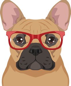 French Bulldog Wearing Hipster Glasses