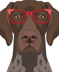German Shorthaired Pointer Wearing Hipster Glasses