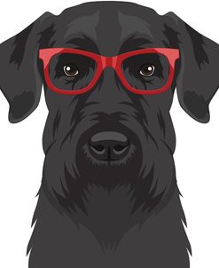 Giant Schnauzer Wearing Hipster Glasses