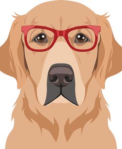 Golden Retriever Wearing Hipster Glasses