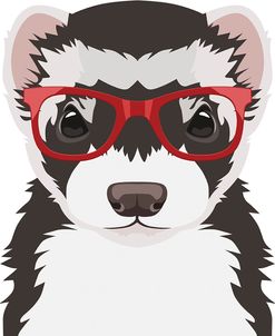 Ferret Wearing Hipster Glasses 3