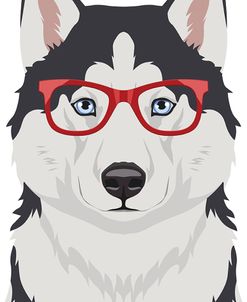 Husky Wearing Hipster Glasses 2