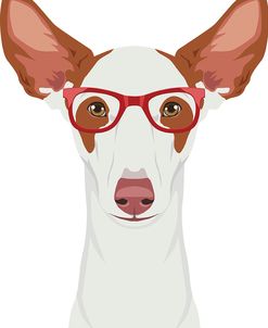 Ibizan Hound Wearing Hipster Glasses