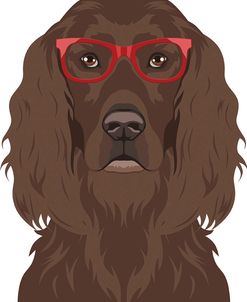 Irish Setter Wearing Hipster Glasses