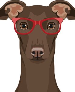 Italian Greyhound Wearing Hipster Glasses