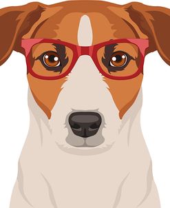Jack Russell Terrier Wearing Hipster Glasses