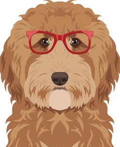 Goldendoodle Wearing Hipster Glasses