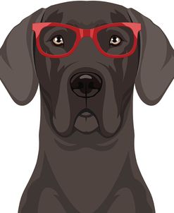 Great Dane Wearing Hipster Glasses