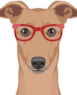 Greyhound Wearing Hipster Glasses