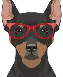 Miniature Pinscher Wearing Hipster Glasses 2