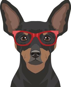 Miniature Pinscher Wearing Hipster Glasses