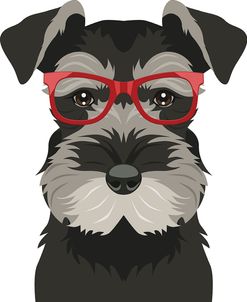 Miniature Schnauzer Wearing Hipster Glasses