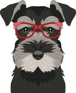 Miniature Schnauzer Wearing Hipster Glasses