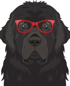 Newfoundland Wearing Hipster Glasses