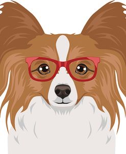 Papillon Wearing Hipster Glasses