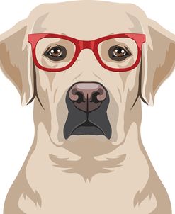 Labrador Retriever Wearing Hipster Glasses