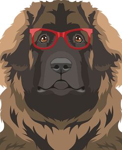 Leonberger Wearing Hipster Glasses