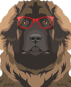 Leonberger Wearing Hipster Glasses