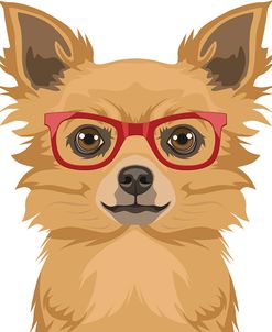 Long Haired Chihuahua Wearing Hipster Glasses