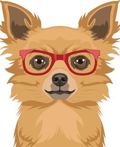 Long Haired Chihuahua Wearing Hipster Glasses