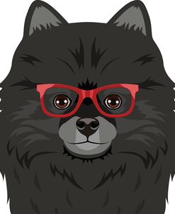 Pomeranian Wearing Hipster Glasses 2