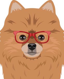 Pomeranian Wearing Hipster Glasses