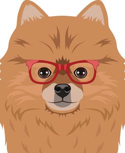 Pomeranian Wearing Hipster Glasses