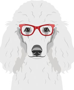 Poodle Wearing Hipster Glasses