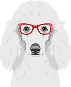 Poodle Wearing Hipster Glasses