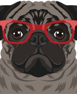 Pug Wearing Hipster Glasses 3