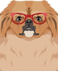 Pekingese Wearing Hipster Glasses