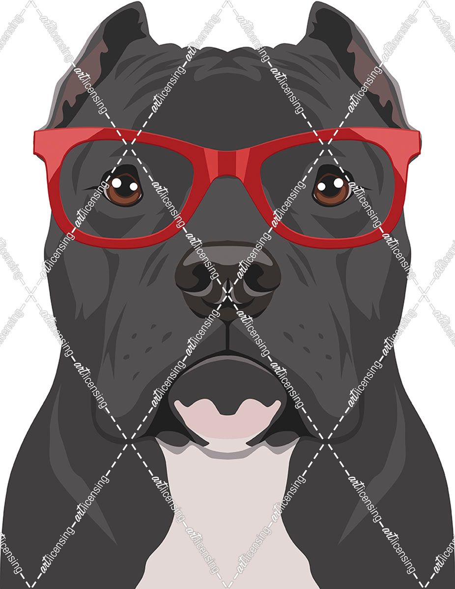Pitbull Wearing Hipster Glasses 2