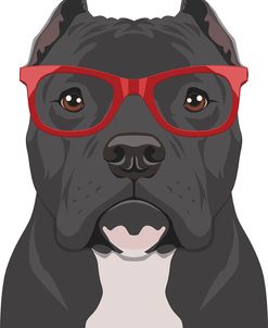Pitbull Wearing Hipster Glasses 2
